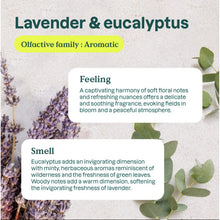Load image into Gallery viewer, Air Purifier, Lavender and Eucalyptus, ATTITUDE, 227 g,