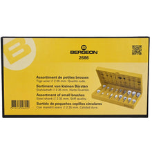 Load image into Gallery viewer, Bergeon 2686 assortment of 18 small brushes for polishing