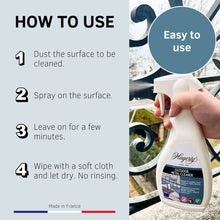 Load image into Gallery viewer, Hagerty Outdoor Metal Cleaner Spray, 500 ml