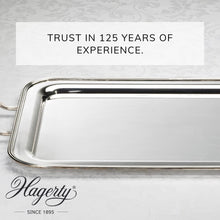 Load image into Gallery viewer, Hagerty Silver and Silver Plated Care Cleaning and Polishing 185 grams