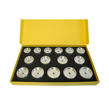 Load image into Gallery viewer, Set of 15 stake swith straight edges (Ø 22 - 36,5 mm) Bergeon 5499-15