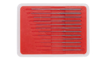 Load image into Gallery viewer, Beco Technic Set of 12 Tapered Pivot Cutting Broaches (0.05-0.55 mm)
