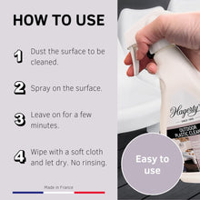 Load image into Gallery viewer, Hagerty Outdoor Plastic Cleaner Spray, 500 ml
