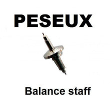 Load image into Gallery viewer, Peseux 120 new balance staff part
